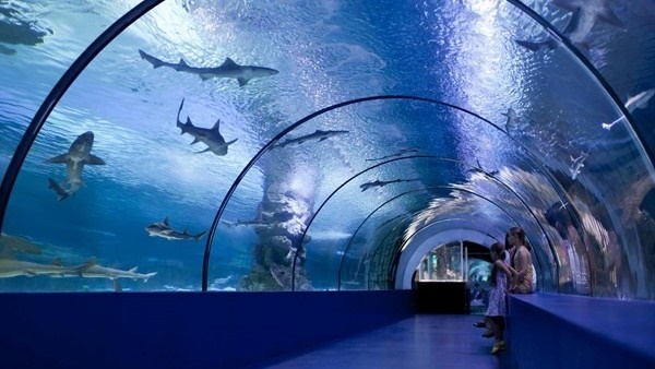 Antalya Aquarium